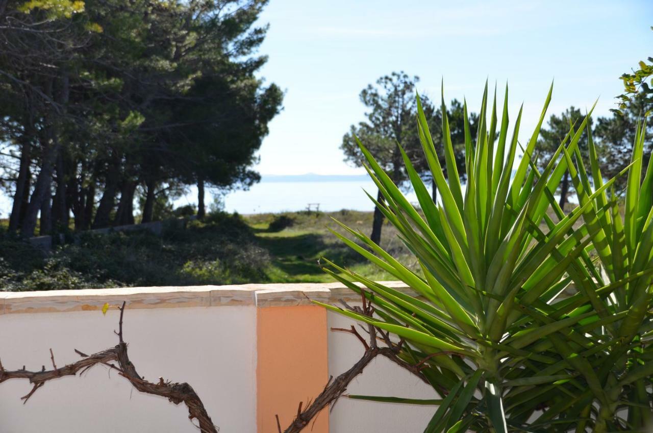 Apartements Delfin Vir Bagian luar foto